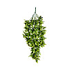 Искусственная ветка Engard "Schefflera" 65 cм (AV-02)