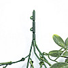 Искусственная ветка Engard "Schefflera" 65 cм (AV-02)