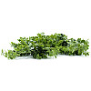 Штучна гілка Engard "Eucalyptus" 65 см (AV-03)