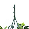 Штучна гілка Engard "Eucalyptus" 65 см (AV-03)