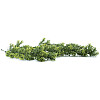 Искусственная ветка Engard "Houttuynia Cordata" 65 cм (AV-04)