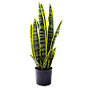 Штучна рослина Engard Sansevieria 57 см (TW-43)
