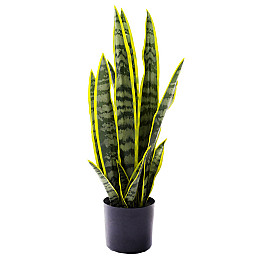 Штучна рослина Engard Sansevieria 57 см (TW-43)