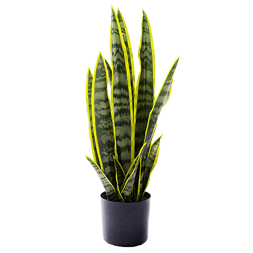 Штучна рослина Engard Sansevieria 57 см (TW-43)
