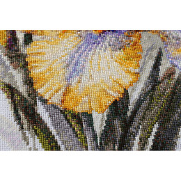 Набор для вышивки крестиком 