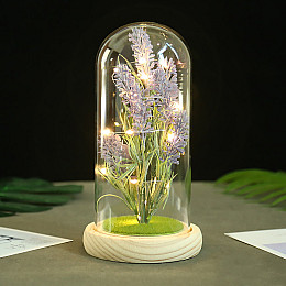 Лаванда в колбі Lesko KY-646 Big з LED підсвічуванням світлодіодний нічник (11566-64546)