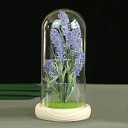 Лаванда в колбі Lesko KY-646 Big з LED підсвічуванням світлодіодний нічник (11566-64546)