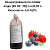 Концентрированный сок лесной ягоды пластиковая бутылка Eva 1 кг/0,76 л