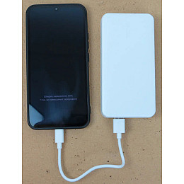 Повербанк Tronic 20000мА с быстрой зарядкой Белый (IAN392844)