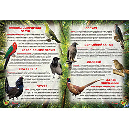 Книга Crystal Book Ілюстрований атлас живої природи 1752 (9789669361752)