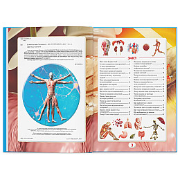 Книга Crystal Book Ви маєте це знати Тіло людини 64 с 4099 (9786175474099)