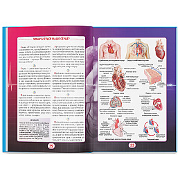 Книга Crystal Book Ви маєте це знати Тіло людини 64 с 4099 (9786175474099)