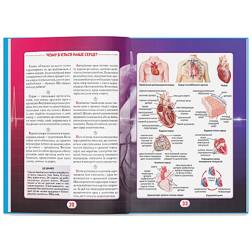 Книга Crystal Book Ви маєте це знати Тіло людини 64 с 4099 (9786175474099)