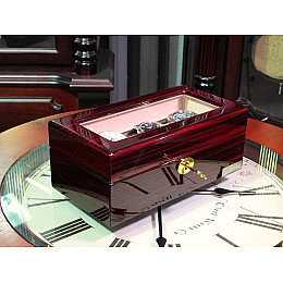 Шкатулка для зберігання годинників Salvadore WB/3085/3.EC Бордовий