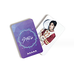 Набор карточек Стрей Кидс Stray Kids Pilot Ломо 60шт (23519) Fan Girl