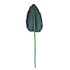 Искуственный лист Engard Banana Tree 63 см (TW-51)