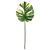 Іскусний лист Engard Monstera Alba 71 см (TW-53)