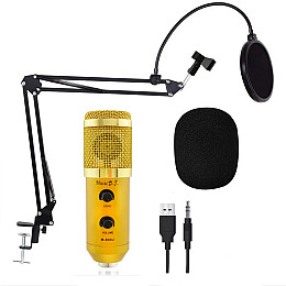 Микрофон студийный RIAS M800U со стойкой и ветрозащитой Gold (np2_00233)