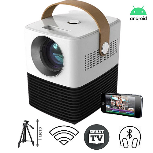 Проектор портативный XPRO PANOPLUS ZEBRA (3000 lumen) (15415_651)