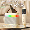 Бездротова Дитяча Міні Караоке Система KTV К13 Bluetooth Колонка з LED Підсвіткою Молочна (736)