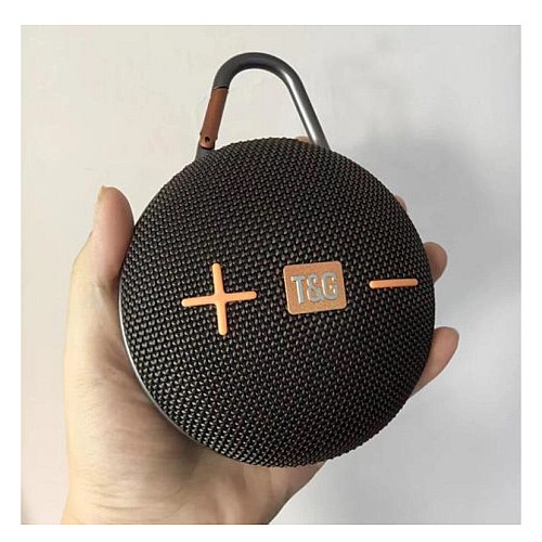Портативна акумуляторна Bluetooth колонка з карабіном T&G TG-648 FM Radio AUX micro-SD USB 5W Чорна