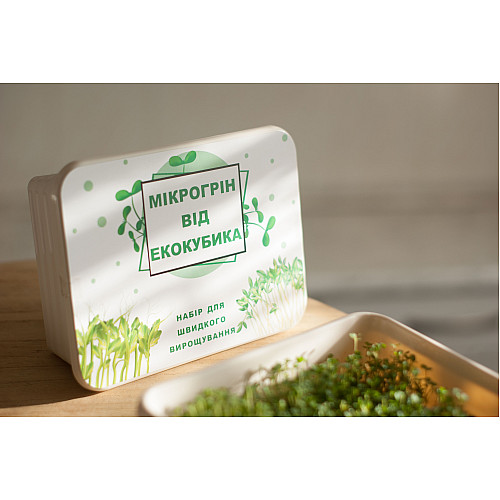 Подарочный набор Экокубик для Микрогрина Капуста Мизуна