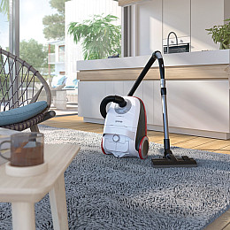 Пилосос Gorenje VCEA 21 GPLW (VCHT4530) (6623622)