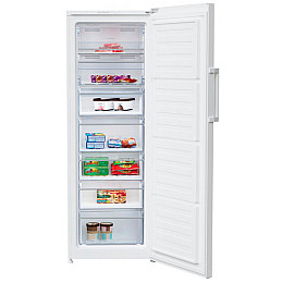 Морозильна камера Beko RFNE 290L21 W (6267492)