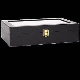 Шкатулка для зберігання годинників Craft 12WB.BL.BRINS Чорний