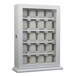Шкатулка для хранения часов Salvadore WB/1100/20.WH Белый