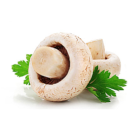 Мицелій Шампіньйона 1 кг (hub_xgsm98831)