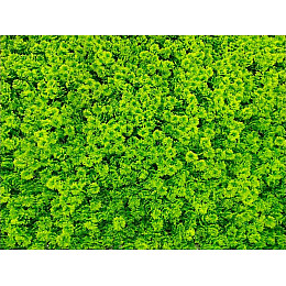 Декоративне зелене покриття Engard "Мох" 50х50 см (GCK-14)