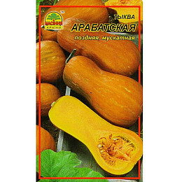 Семена гарбуза Насіння країни Арабатська 2 г (1137298713)