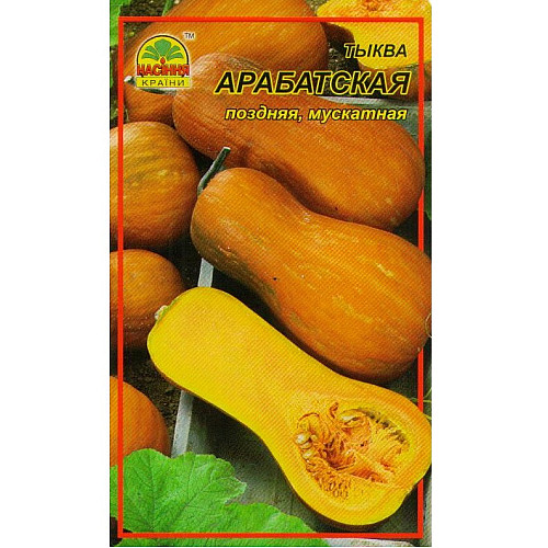 Семена тыквы Насіння країни Арабатская 2 г (1137298713)