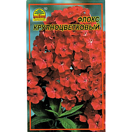 Семена Флокс Насіння країни Крупноцветковый 30 шт (1137298799)