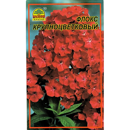 Семена Флокс Насіння країни Крупноцветковый 30 шт (1137298799)