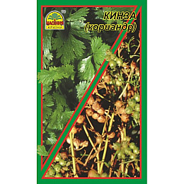 Семена кінзи Насіння країни 3 г (1137298806)