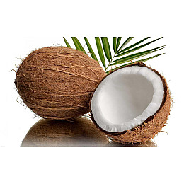 Кокосовий субстрат Насіння країни Трейд Квітка розпушений 1,5 л