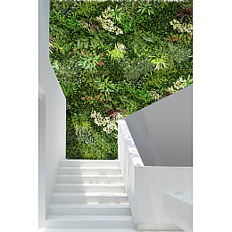 Декоративне покриття-фітостіна Engard «Astreya» 100х100 см (GCK-20)