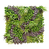 Декоративне покриття-фітостіна Engard «Monet Gardens» 100х100 см (GCK-25)