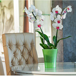 Вазон ARTE-DEA 2 л зелене-яблуко Santino