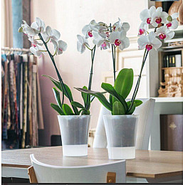 Вазон ARTE-DEA 2 л прозорий Santino