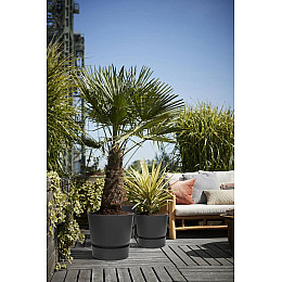 Вазон Elho greenville round графіт 31 л