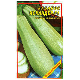 Семена кабачка Seminis Искандер F1 5 шт (1137297620)