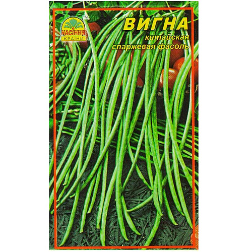 Китайская спаржева фасоль Вигна Насіння країни 1 г (1137298718)