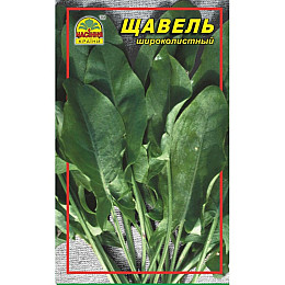 Щавель Насіння країни 4 г (1137298888)