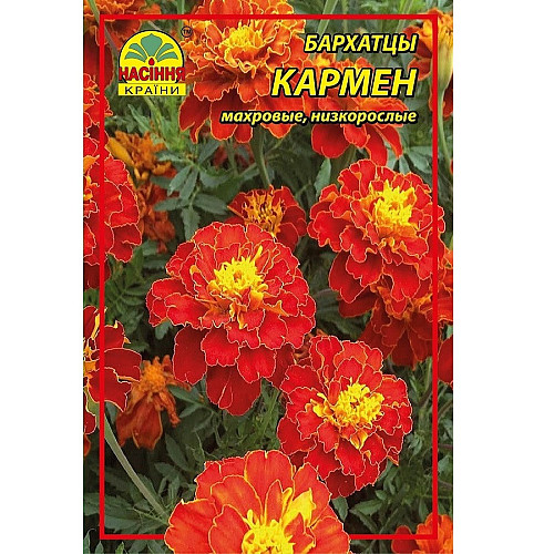Квіти бархатці Насіння країни Кармен 3 г (1301611014)