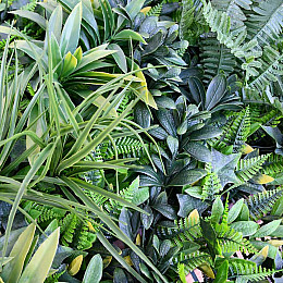 Декоративне покриття Engard "В'юнок" 100х300 см (GC-08)