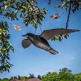 Ворон Chomik для відлякування птахів з крилами 61х44 см Чорний