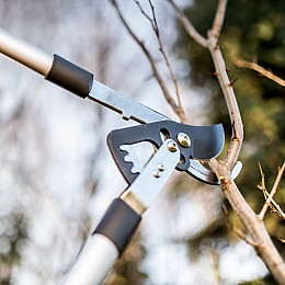 Сучкорез садовий Cellfast IDEAL iz15773